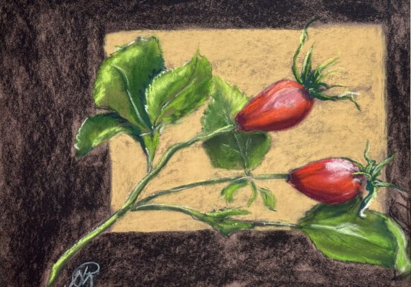 Die Hagebutte, 30x21cm