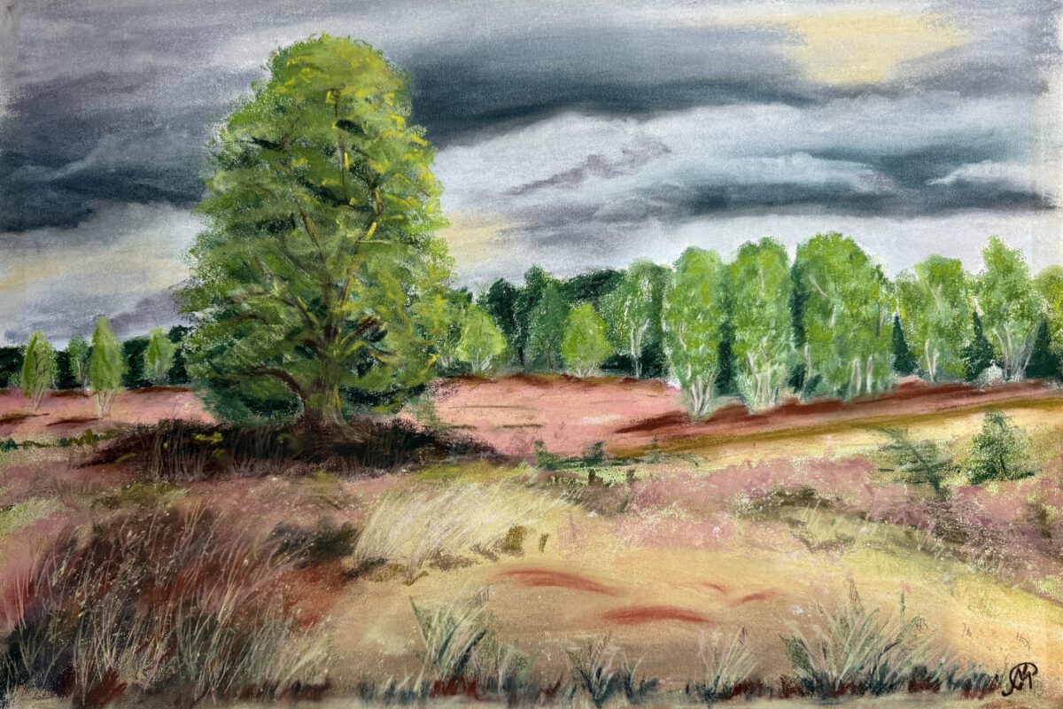 Die Heide beginnt am Waldrand, 40x60cm