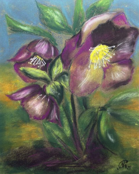Ein Frühlingsbote, 24x30cm