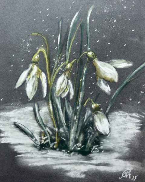 Galanthus-Die frühe Schöne, 24x30cm