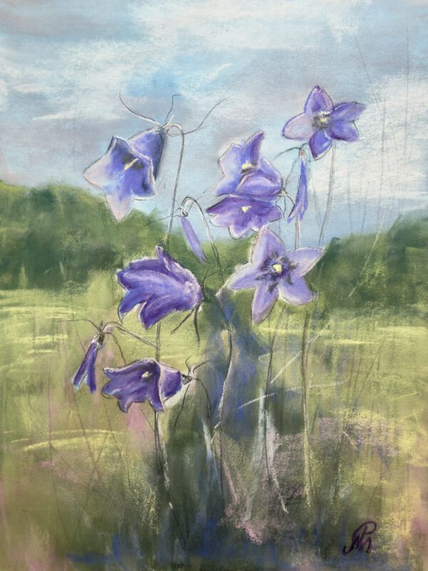 Glockenblumen auf der Lichtung, 30x40cm