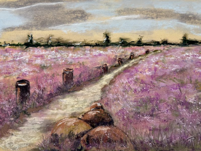Unsere Heide, 30x40cm