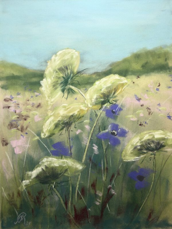 Wilde Möhre, 30x40cm